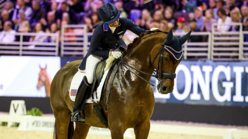 Within just a few weeks of starting my horses on Hulk I noticed a significant improvement in their muscle tone. 