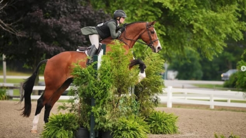 Metabolic has been an amazing addition to our supplement lineup, keeping our heard in tiptop shape. 